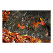 Fall Leaves in Waterfall I Autumn Photography Perfect Poster (Voorkant)