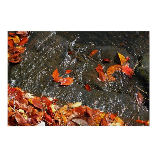 Fall Leaves in Waterfall I Autumn Photography Perfect Poster (Voorkant)