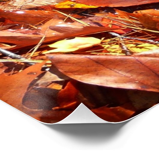 Fall Leaves in Waterfall I Autumn Photography Perfect Poster (Hoek)
