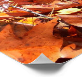 Fall Leaves in Waterfall I Autumn Photography Poster (Hoek)