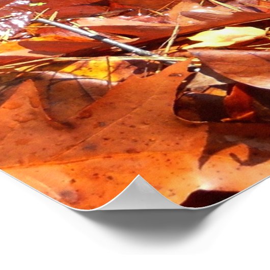 Fall Leaves in Waterfall I Autumn Photography Poster (Hoek)