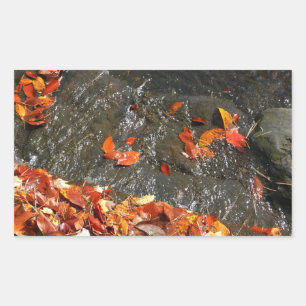Fall Leaves in Waterfall I Autumn Photography Rechthoekige Sticker