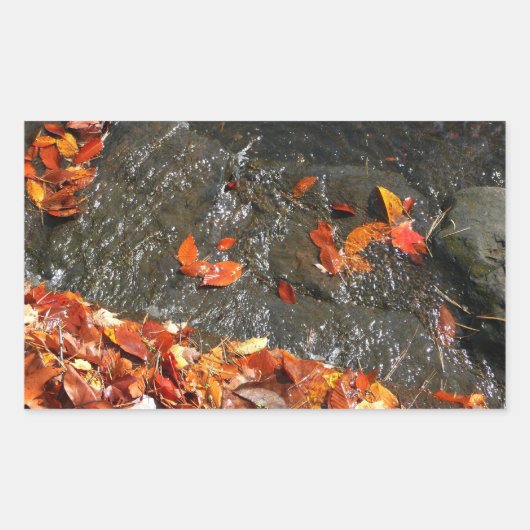 Fall Leaves in Waterfall I Autumn Photography Rechthoekige Sticker (Voorkant)