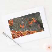 Fall Leaves in Waterfall I Autumn Photography Rechthoekige Sticker (Envelop)
