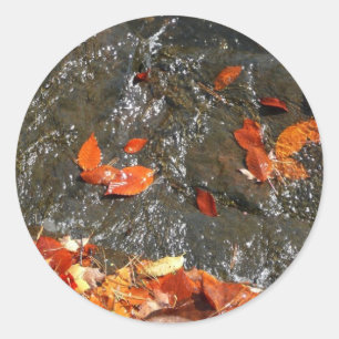 Fall Leaves in Waterfall I Autumn Photography Ronde Sticker