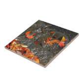 Fall Leaves in Waterfall I Autumn Photography Tegeltje (Zijkant)