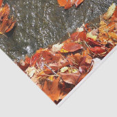 Fall Leaves in Waterfall I Autumn Photography Tissuepapier (Detail)