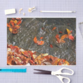 Fall Leaves in Waterfall I Autumn Photography Tissuepapier (Craft)