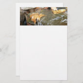 Fall Leaves in Waterfall II Autumn Photography Briefpapier (Voorkant / Achterkant)