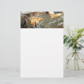 Fall Leaves in Waterfall II Autumn Photography Briefpapier (Staand voorkant)