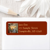 Fall Leaves in Waterfall II Autumn Photography Etiket (Insitu)