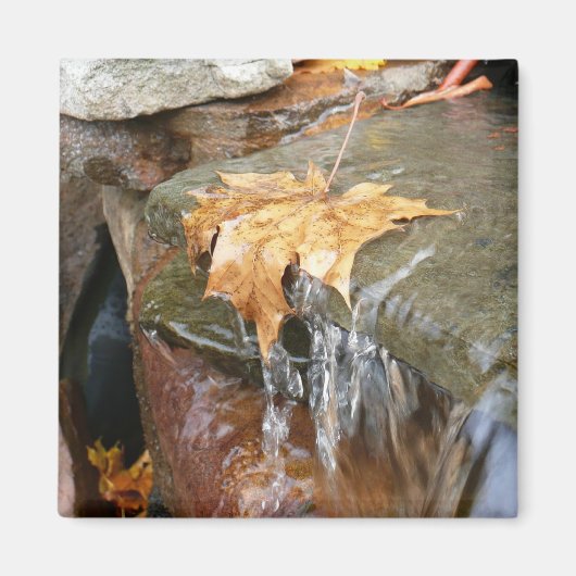 Fall Leaves in Waterfall II Autumn Photography Magneet (Voorkant)