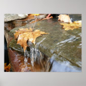 Fall Leaves in Waterfall II Autumn Photography Poster (Voorkant)
