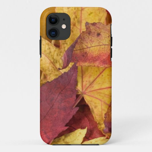 Fall Leaves iPhone5 Hoesje (Achterkant)