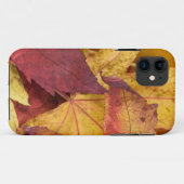 Fall Leaves iPhone5 Hoesje (Achterkant (horizontaal))