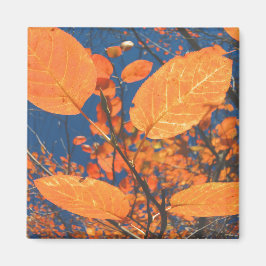 Fall Leaves Magneet