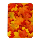 Fall Leaves Magneet (Verticaal)