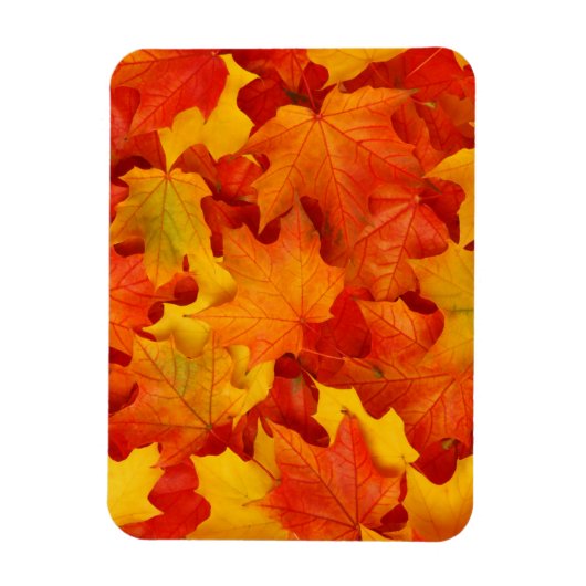 Fall Leaves Magneet (Verticaal)