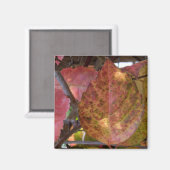 Fall Leaves Magnet (Voorkant / Achterkant)