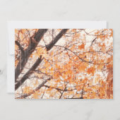 Fall Leaves Maple Tree Rustic Wedding Invitations Kaart (Achterkant)