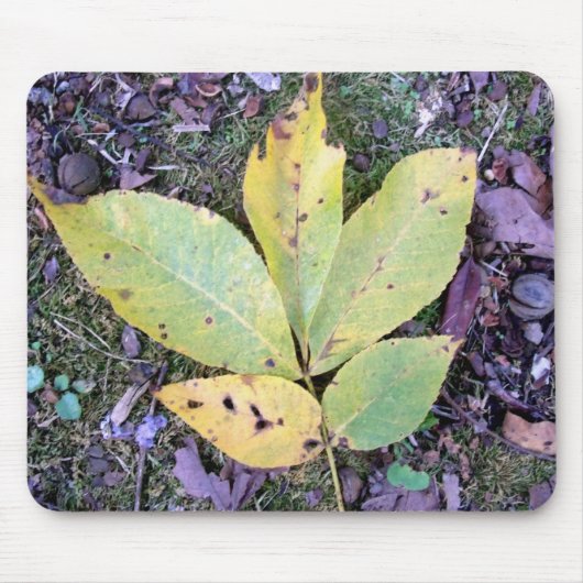 Fall Leaves Mousepad Muismat (Voorkant)
