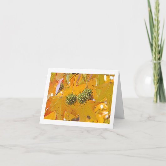"FALL LEAVES" NOTECARD (FOTO) KAART (Voorkant)