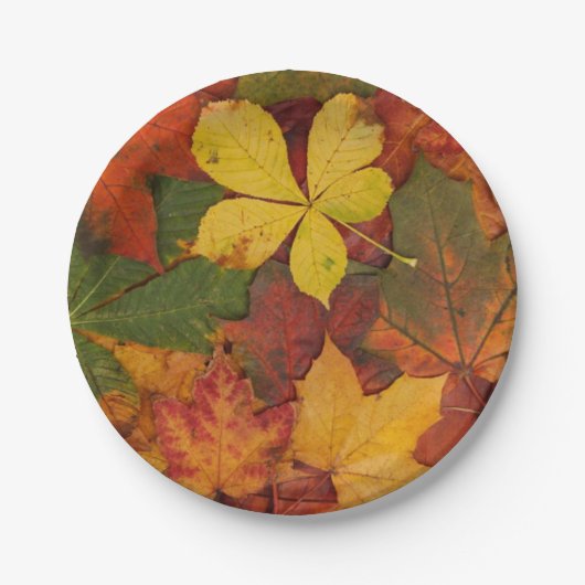 Fall Leaves Paper-Borden Papieren Bordje (Voorkant)