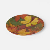 Fall Leaves Paper-Borden Papieren Bordje (Gekanteld)