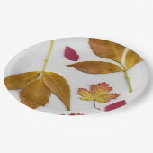 Fall Leaves Papieren Bordje (Gekanteld)