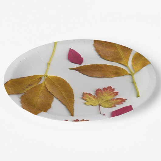 Fall Leaves Papieren Bordje (Gekanteld)