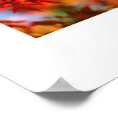 Fall Leaves Poster (Hoek)