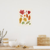 Fall Leaves Poster (Keuken)