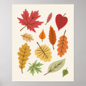 Fall Leaves Poster (Voorkant)