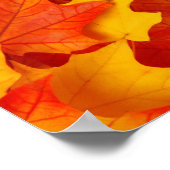 Fall Leaves Poster (Hoek)