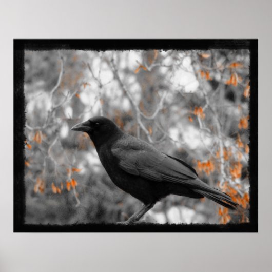 Fall Leaves Poster (Voorkant)