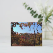 "Fall Leaves Scene" Briefkaart (Staand voorkant)