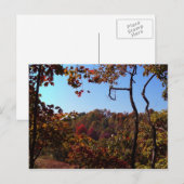 "Fall Leaves Scene" Briefkaart (Voorkant / Achterkant)