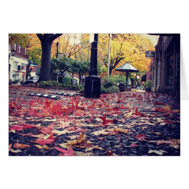 Fall Leaves Sidewalk Uitzicht (Voorkant Horizontaal)