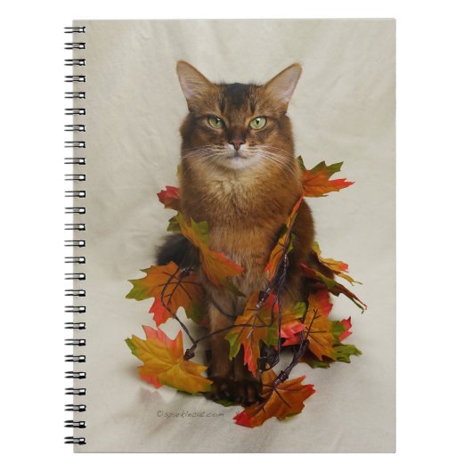 Fall Leaves Somali Cat Notitieboek (Voorkant)