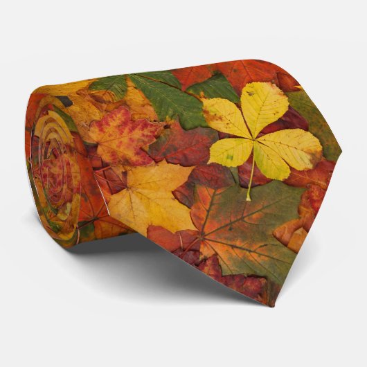 Fall Leaves Stropdas (Opgerold)