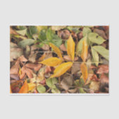 Fall Leaves Tissue Paper Tissuepapier (Voorkant)