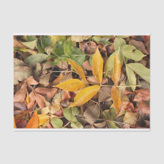 Fall Leaves Tissue Paper Tissuepapier (Voorkant)