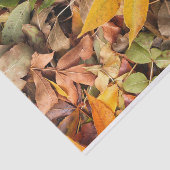 Fall Leaves Tissue Paper Tissuepapier (Detail)