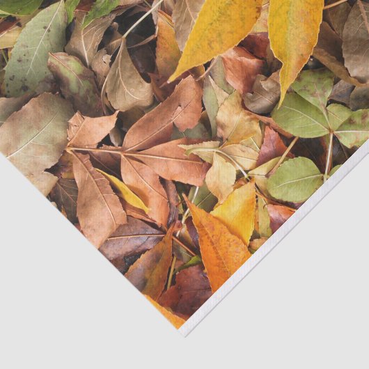 Fall Leaves Tissue Paper Tissuepapier (Detail)