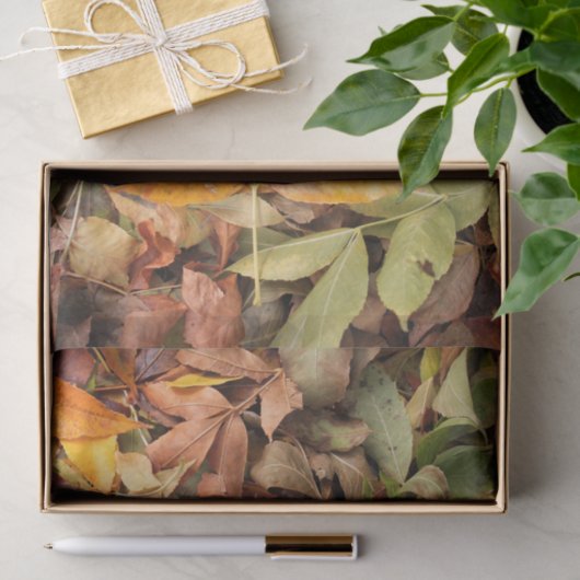 Fall Leaves Tissue Paper Tissuepapier (Geschenk)