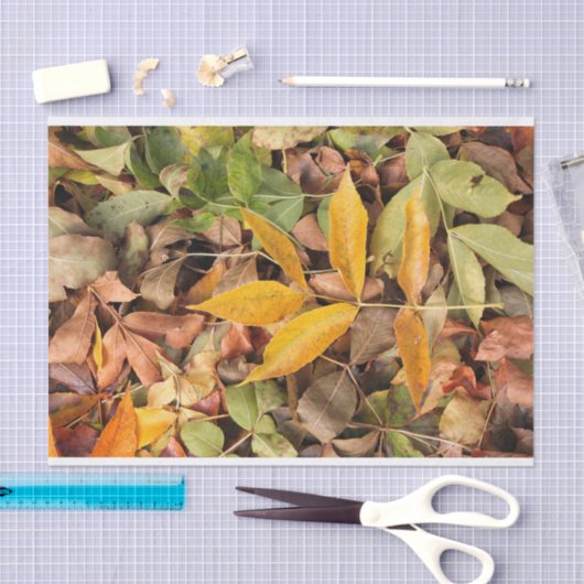 Fall Leaves Tissue Paper Tissuepapier (Craft)