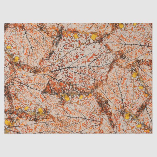 Fall lekt Oranje papier met fijne schijfjes (Voorkant)