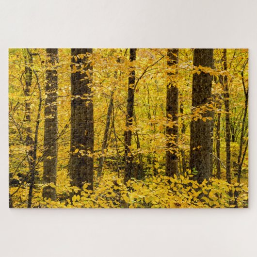 Fall Pisgah National Forest Legpuzzel (Horizontaal)