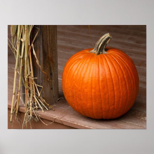 Fall Pumpkin on Porch Poster (Voorkant)