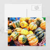 Fall Squash Briefkaart (Voorkant / Achterkant)